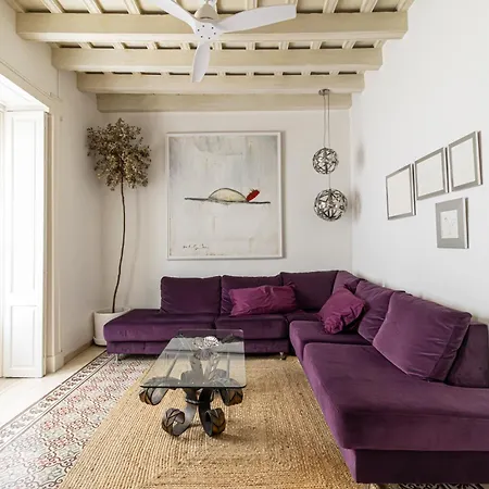 Apartment Nuevo-new Casa Palacio M Anuela *